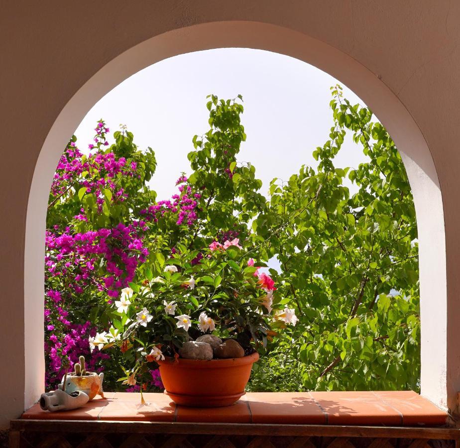 Villa La Rosa Dei Venti à Massa Lubrense Extérieur photo