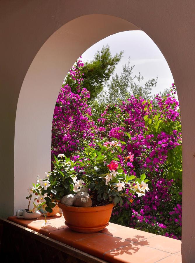 Villa La Rosa Dei Venti à Massa Lubrense Extérieur photo