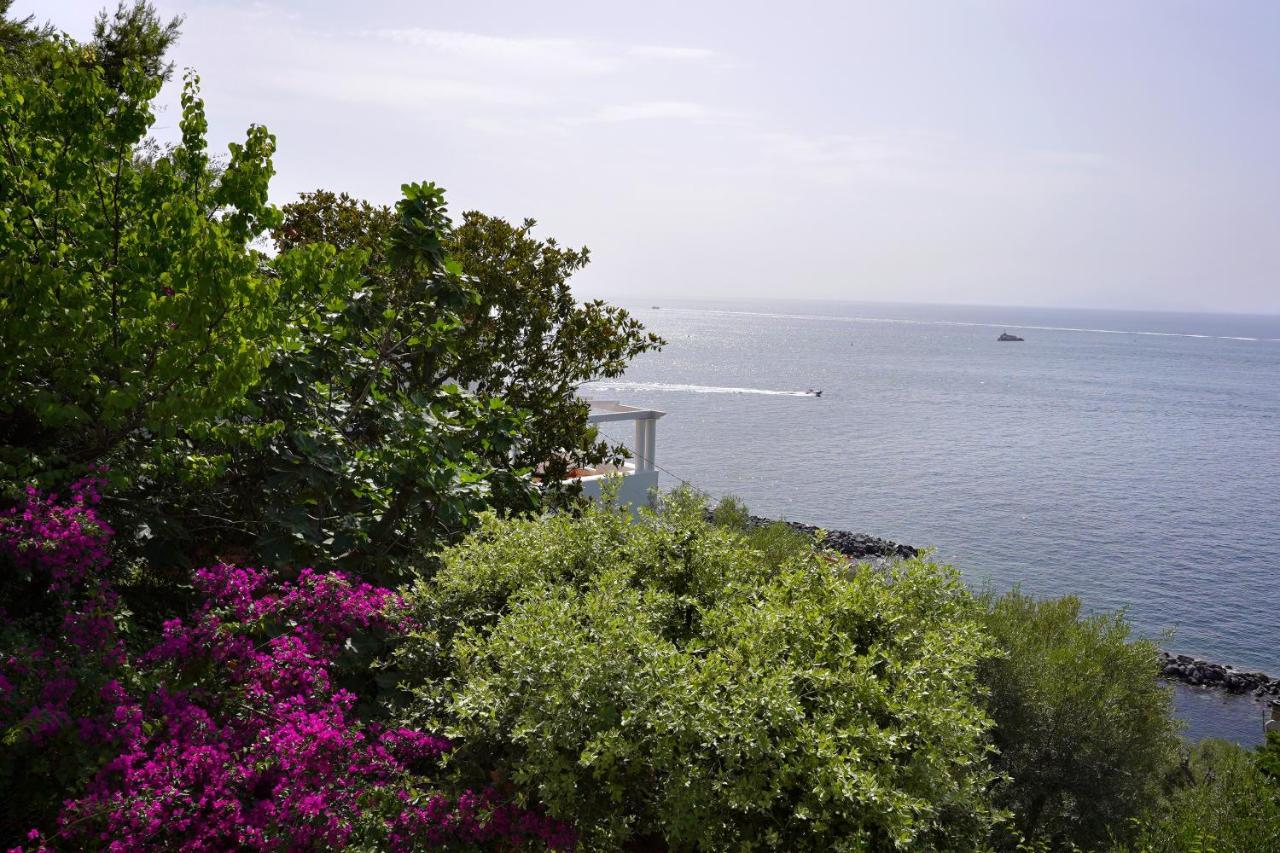 Villa La Rosa Dei Venti à Massa Lubrense Extérieur photo