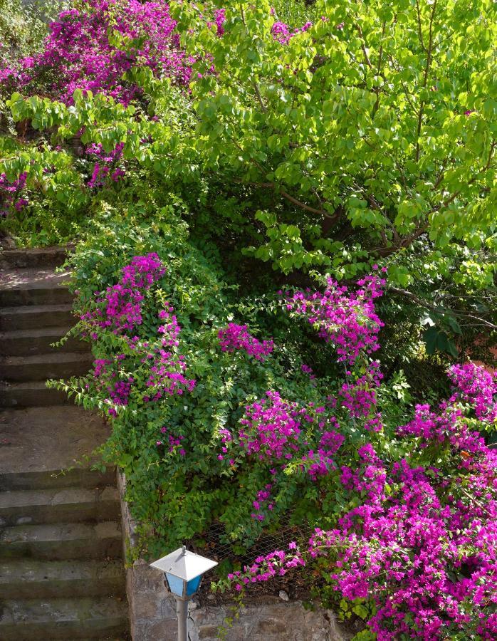 Villa La Rosa Dei Venti à Massa Lubrense Extérieur photo